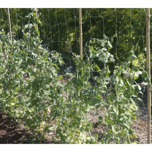 Malla entutorar biocompostable luz 15 x 15 cm 1,85 x 5 m